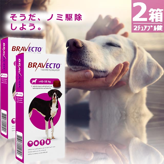 ブラベクトチュワブル錠1400mg